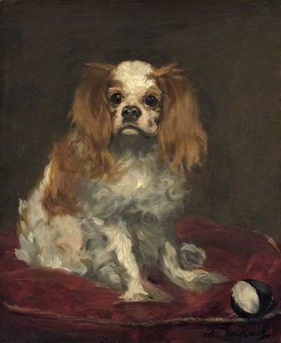 Ein King Charles Spaniel von Édouard Manet